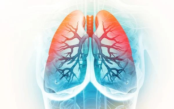 Can Protein Peptides Aid with Chronic Respiratory Diseases?
