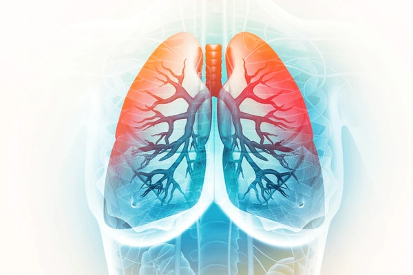 Can Protein Peptides Aid with Chronic Respiratory Diseases?