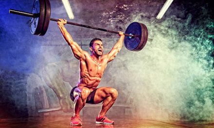 Sculpt Your Powerhouse