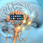 The Brain’s Dopamine Factory and protein peptides