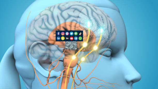 The Brain’s Dopamine Factory and protein peptides