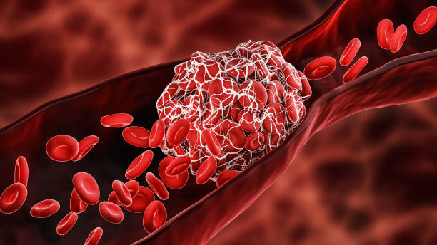 How Protein Peptides Can Help with Blood Anticoagulation