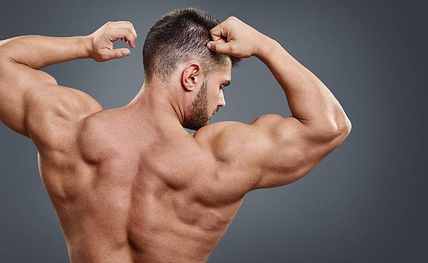 Protein Peptides: Increases Lean Muscle Mass and Accelerates Recovery