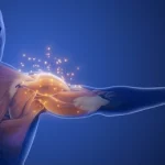 Repairing Muscles with Protein Peptides