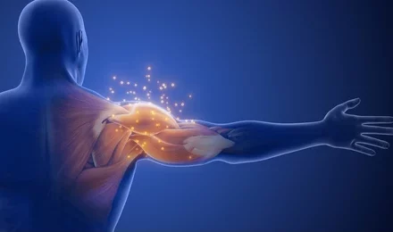 Repairing Muscles with Protein Peptides