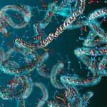 Protein Peptides: Nature’s Power for Healing and Vitality