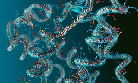 Protein Peptides: Nature’s Power for Healing and Vitality